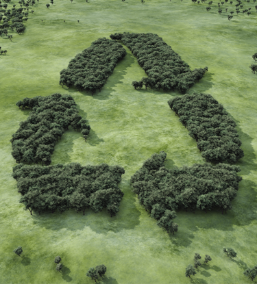 trees forming a recycling logo shape