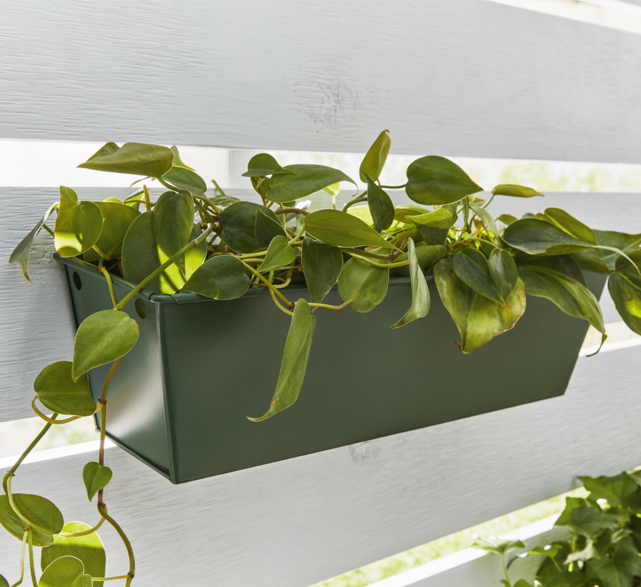 outdoor planter in Spanish Moss