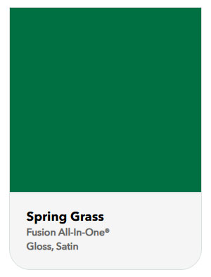 Spring grass color swatch