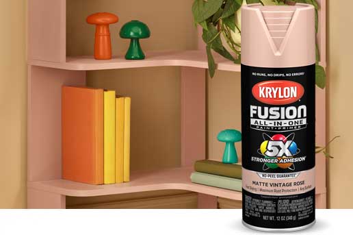 Krylon Fusion Vintage Rose Spray can and bookcase