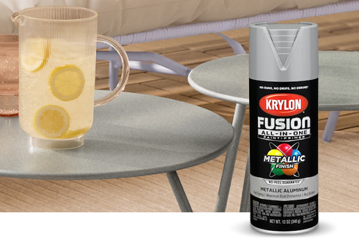 Krylon Fusion Metallic Aluminum Spray can with plant