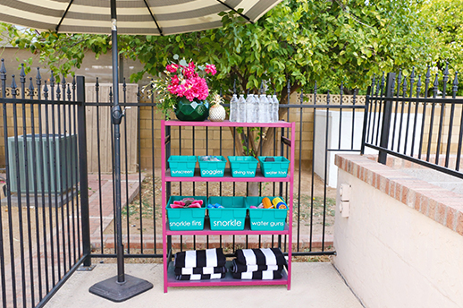 painted pool organizer