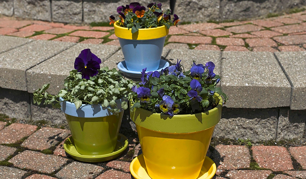 painted flowerpots