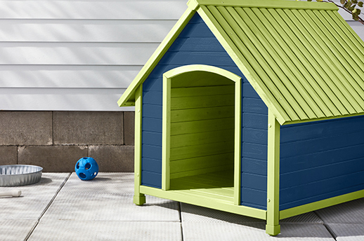 painted dog house