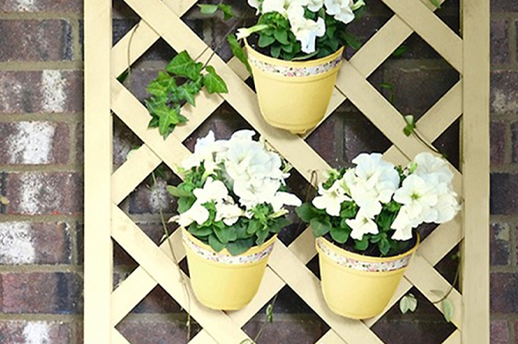 lattice wall with flowers